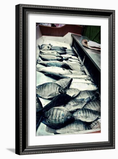 Tokyo Fish Market-null-Framed Photo