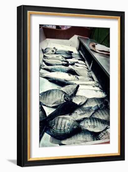 Tokyo Fish Market-null-Framed Photo