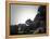 Tokyo Imperial Palace-NaxArt-Framed Stretched Canvas