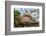 Tokyo, Japan. Sensoji Temple at Tokyo's Oldest Temple Built in 645-Bill Bachmann-Framed Photographic Print