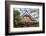 Tokyo, Japan. Sensoji Temple at Tokyo's Oldest Temple Built in 645-Bill Bachmann-Framed Photographic Print