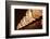 Tokyo, Japan. White paper lanterns at the Senso-Ji Temple in the Asakusa neighborhood-Miva Stock-Framed Photographic Print