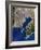 Tokyo, Satellite Image-PLANETOBSERVER-Framed Photographic Print