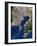 Tokyo, Satellite Image-PLANETOBSERVER-Framed Photographic Print