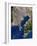 Tokyo, Satellite Image-PLANETOBSERVER-Framed Photographic Print