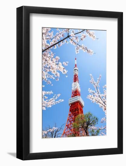 Tokyo Tower during the cherry blossom season, Minato, Tokyo, Japan-Jan Christopher Becke-Framed Photographic Print