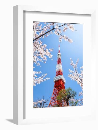 Tokyo Tower during the cherry blossom season, Minato, Tokyo, Japan-Jan Christopher Becke-Framed Photographic Print