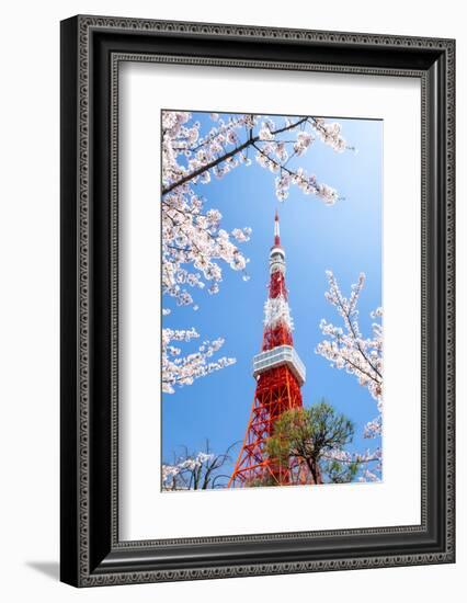 Tokyo Tower during the cherry blossom season, Minato, Tokyo, Japan-Jan Christopher Becke-Framed Photographic Print