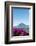 Toliman Volcano and Lago De Atitlan (Lake Atitlan), San Juan La Laguna, Guatemala-Michael DeFreitas-Framed Photographic Print