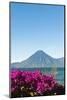 Toliman Volcano and Lago De Atitlan (Lake Atitlan), San Juan La Laguna, Guatemala-Michael DeFreitas-Mounted Photographic Print