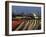 Tollgates on Queen Elizabeth Bridge at Night, M25, Dartford, Kent, England, UK, Europe-Roy Rainford-Framed Photographic Print