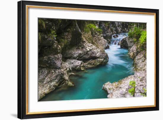 Tolminka River, Tolmin Gorges, Triglav National Park (Triglavski Narodni Park), Slovenia, Europe-Matthew Williams-Ellis-Framed Photographic Print