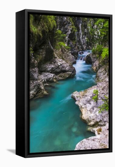 Tolminka River, Tolmin Gorges, Triglav National Park (Triglavski Narodni Park), Slovenia, Europe-Matthew Williams-Ellis-Framed Premier Image Canvas