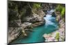 Tolminka River, Tolmin Gorges, Triglav National Park (Triglavski Narodni Park), Slovenia, Europe-Matthew Williams-Ellis-Mounted Photographic Print