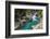 Tolminka River, Tolmin Gorges, Triglav National Park (Triglavski Narodni Park), Slovenia, Europe-Matthew Williams-Ellis-Framed Photographic Print