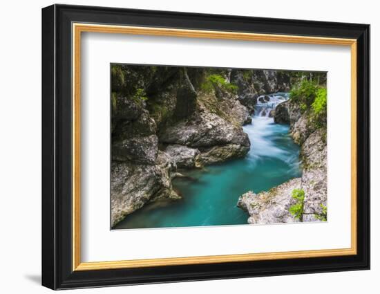 Tolminka River, Tolmin Gorges, Triglav National Park (Triglavski Narodni Park), Slovenia, Europe-Matthew Williams-Ellis-Framed Photographic Print