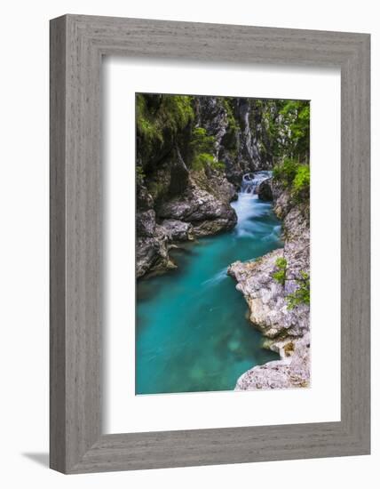 Tolminka River, Tolmin Gorges, Triglav National Park (Triglavski Narodni Park), Slovenia, Europe-Matthew Williams-Ellis-Framed Photographic Print