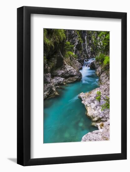 Tolminka River, Tolmin Gorges, Triglav National Park (Triglavski Narodni Park), Slovenia, Europe-Matthew Williams-Ellis-Framed Photographic Print