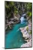 Tolminka River, Tolmin Gorges, Triglav National Park (Triglavski Narodni Park), Slovenia, Europe-Matthew Williams-Ellis-Mounted Photographic Print