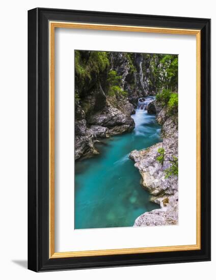 Tolminka River, Tolmin Gorges, Triglav National Park (Triglavski Narodni Park), Slovenia, Europe-Matthew Williams-Ellis-Framed Photographic Print