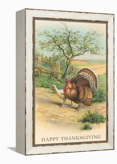 Tom and Hen Turkeys-null-Framed Stretched Canvas