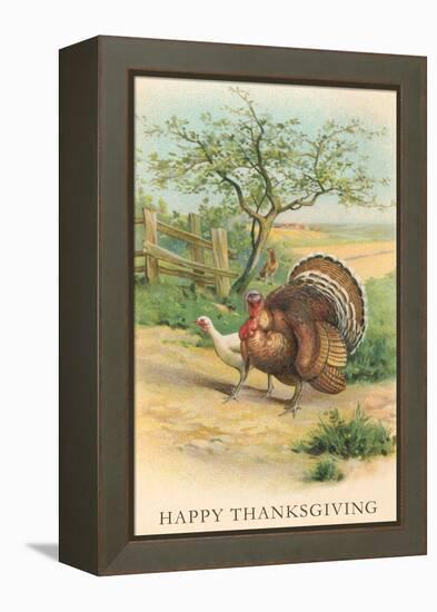 Tom and Hen Turkeys-null-Framed Stretched Canvas