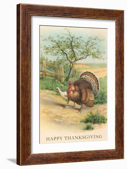 Tom and Hen Turkeys-null-Framed Art Print