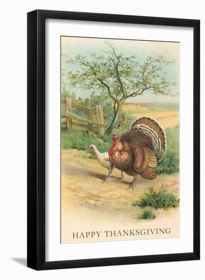 Tom and Hen Turkeys-null-Framed Art Print