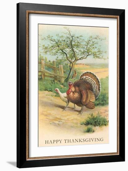 Tom and Hen Turkeys-null-Framed Art Print