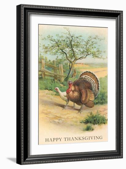 Tom and Hen Turkeys-null-Framed Art Print