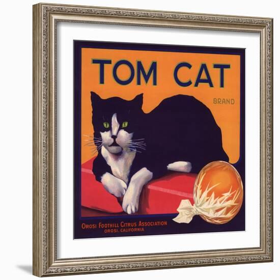 Tom Cat Brand - Orosi, California - Citrus Crate Label-Lantern Press-Framed Art Print