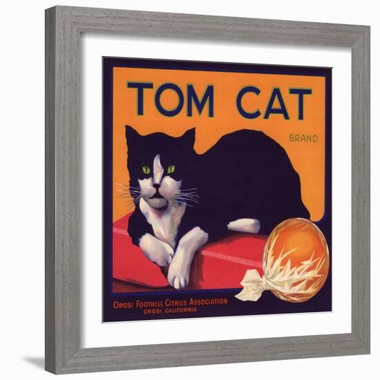 Tom Cat Brand - Orosi, California - Citrus Crate Label-Lantern Press-Framed Art Print