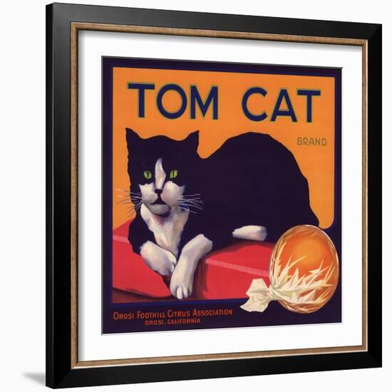 Tom Cat Brand - Orosi, California - Citrus Crate Label-Lantern Press-Framed Art Print