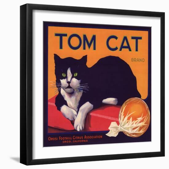 Tom Cat Brand - Orosi, California - Citrus Crate Label-Lantern Press-Framed Art Print