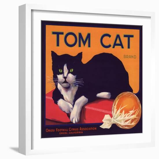 Tom Cat Brand - Orosi, California - Citrus Crate Label-Lantern Press-Framed Art Print