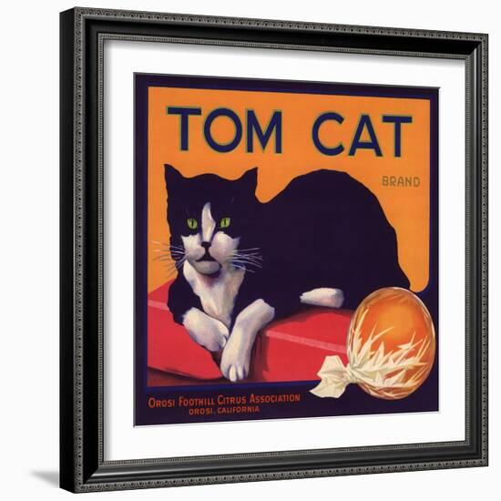 Tom Cat Brand - Orosi, California - Citrus Crate Label-Lantern Press-Framed Art Print