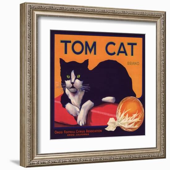 Tom Cat Brand - Orosi, California - Citrus Crate Label-Lantern Press-Framed Art Print