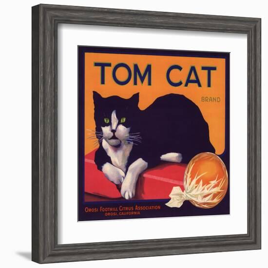 Tom Cat Brand - Orosi, California - Citrus Crate Label-Lantern Press-Framed Art Print