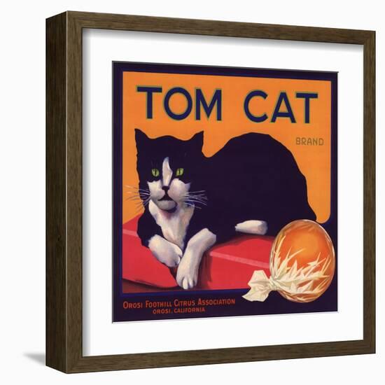 Tom Cat Brand - Orosi, California - Citrus Crate Label-Lantern Press-Framed Art Print