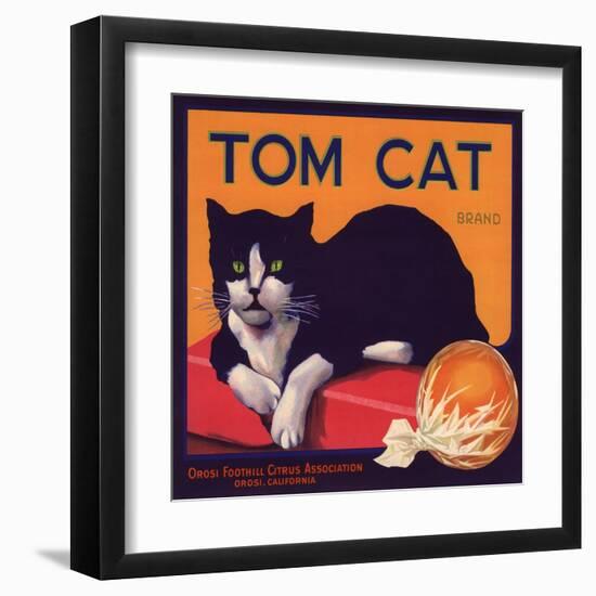 Tom Cat Brand - Orosi, California - Citrus Crate Label-Lantern Press-Framed Art Print