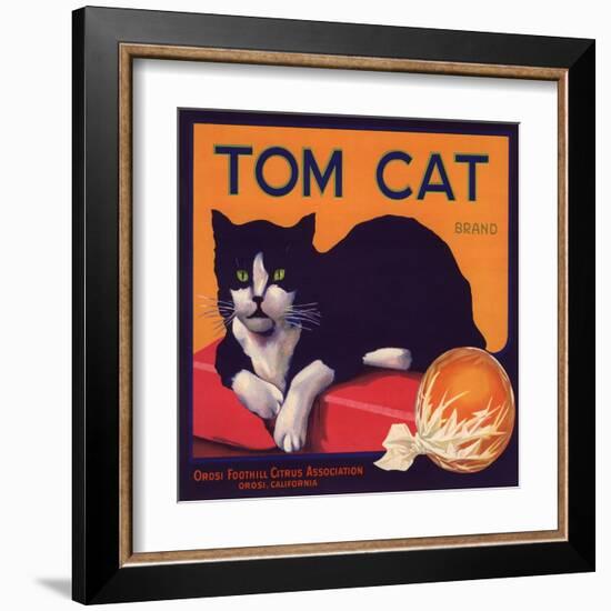 Tom Cat Brand - Orosi, California - Citrus Crate Label-Lantern Press-Framed Art Print