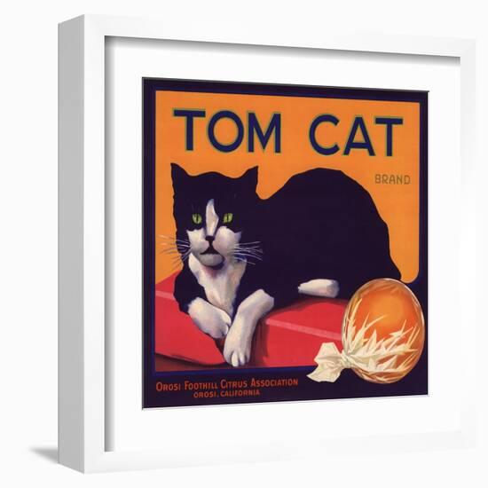 Tom Cat Brand - Orosi, California - Citrus Crate Label-Lantern Press-Framed Art Print