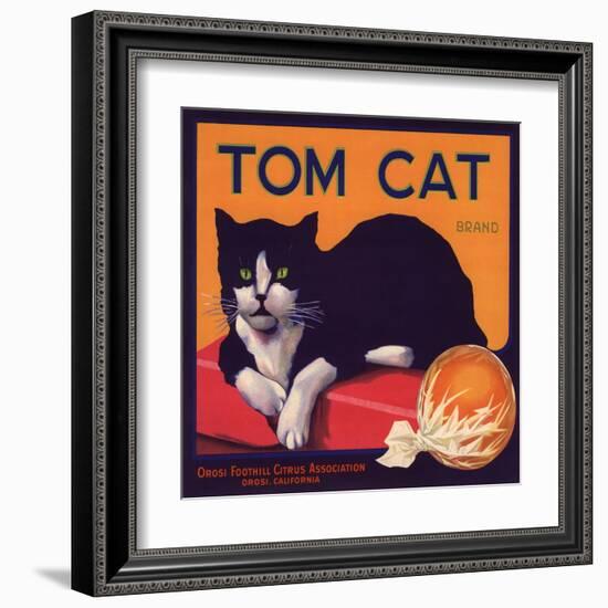 Tom Cat Brand - Orosi, California - Citrus Crate Label-Lantern Press-Framed Art Print