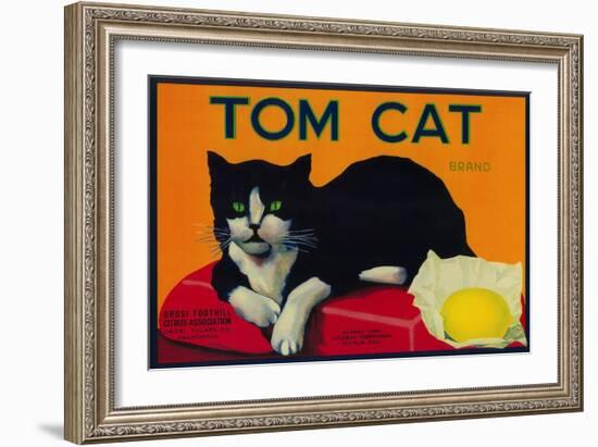 Tom Cat Lemon Label - Orosi, CA-Lantern Press-Framed Art Print