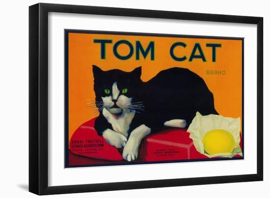 Tom Cat Lemon Label - Orosi, CA-Lantern Press-Framed Art Print