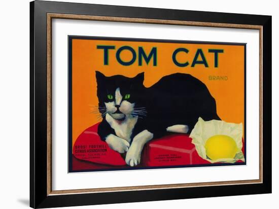 Tom Cat Lemon Label - Orosi, CA-Lantern Press-Framed Art Print