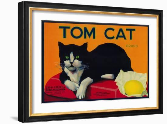 Tom Cat Lemon Label - Orosi, CA-Lantern Press-Framed Art Print