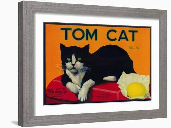 Tom Cat Lemon Label - Orosi, CA-Lantern Press-Framed Art Print