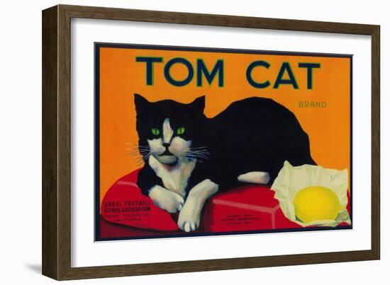 Tom Cat Lemon Label - Orosi, CA-Lantern Press-Framed Art Print