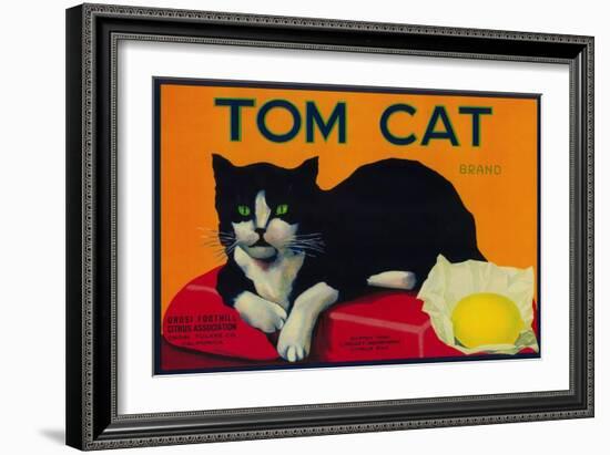 Tom Cat Lemon Label - Orosi, CA-Lantern Press-Framed Art Print